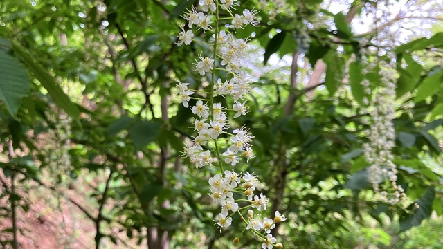三角山9