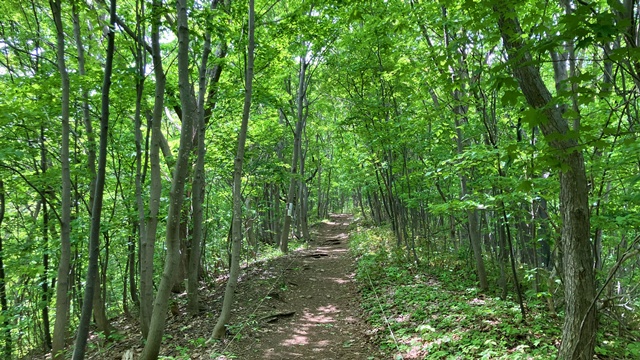 三角山2