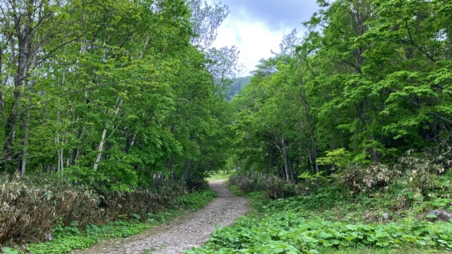 手稲山2
