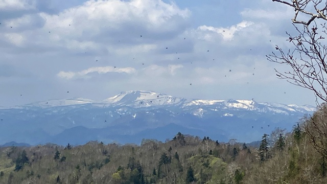砥石山8