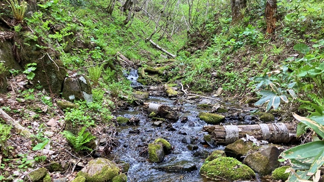 砥石山9