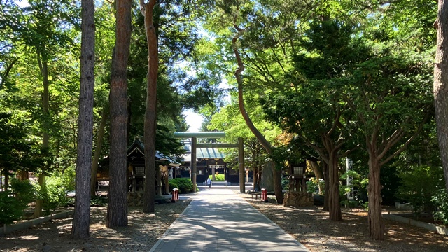 琴似神社1