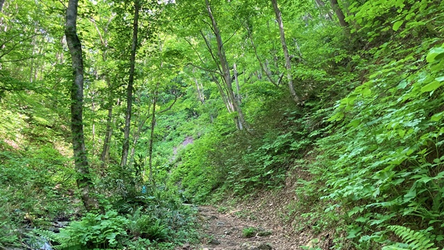 手稲山4