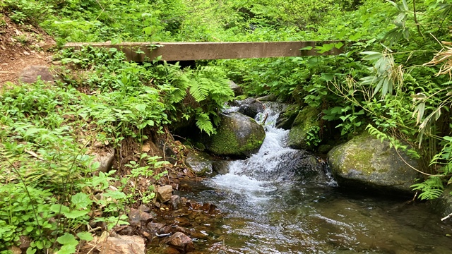 手稲山5