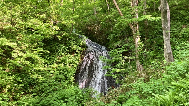 手稲山6