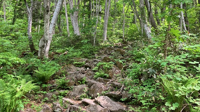 手稲山7
