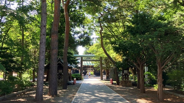 琴似神社1