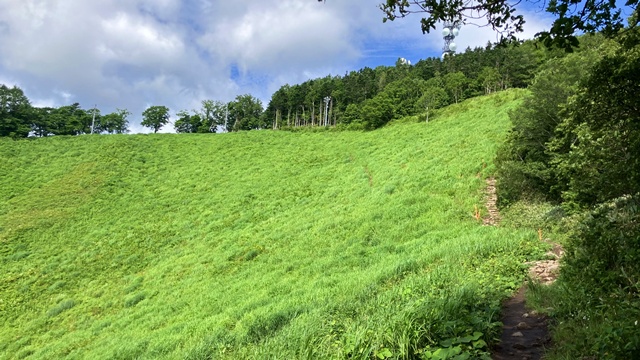 藻岩山2