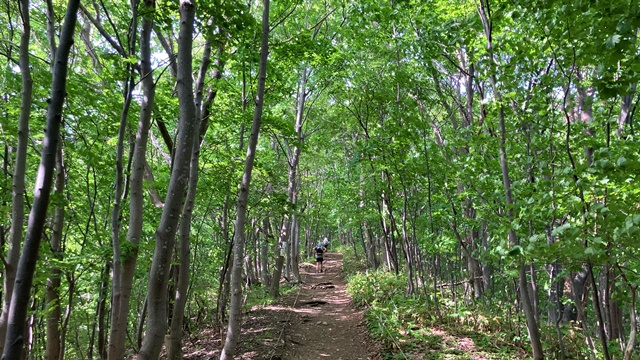 三角山2