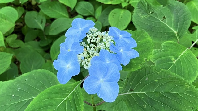 三角山3
