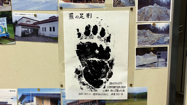 タウシュベツ川橋梁3