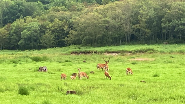 タウシュベツ川橋梁12