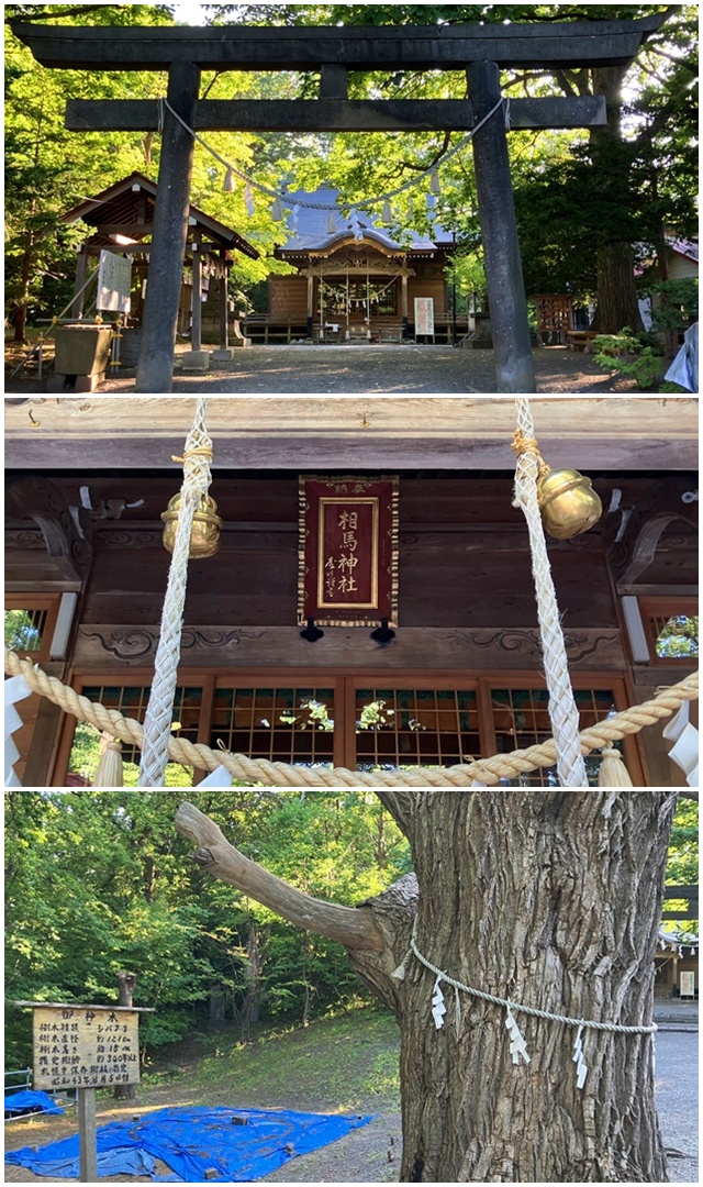 天神山3
