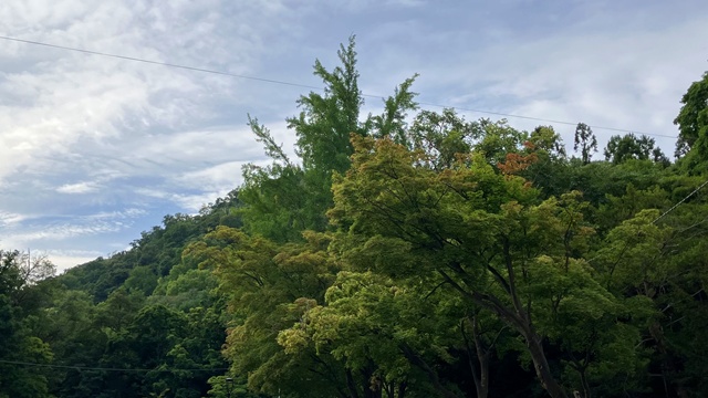 北海道神宮5