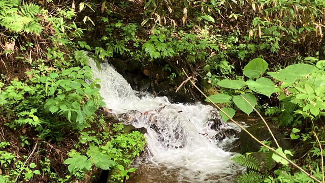 手稲山2
