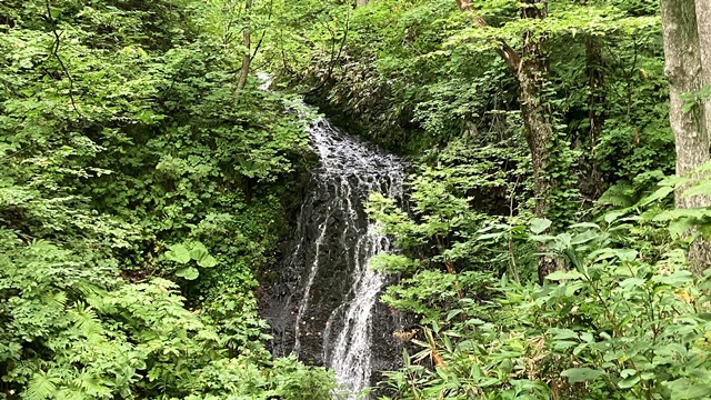 手稲山3