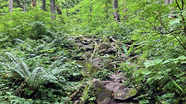 手稲山4