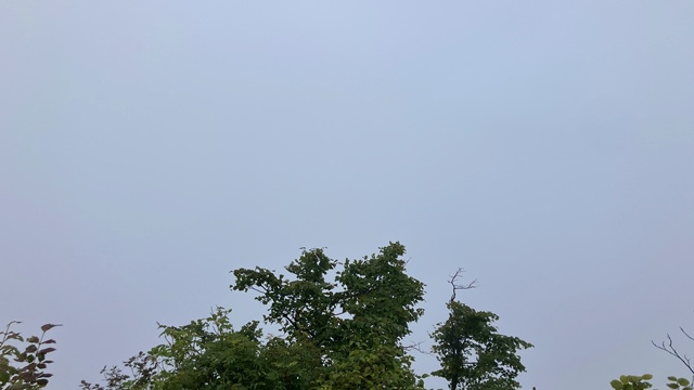 手稲山8