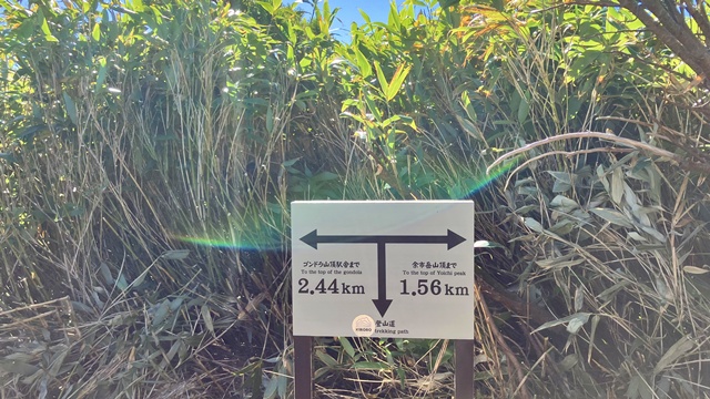 余市岳9