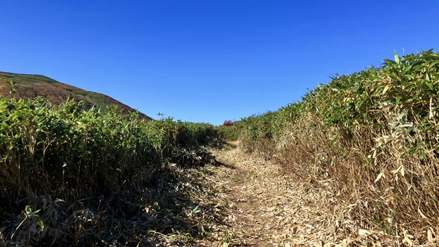 余市岳11