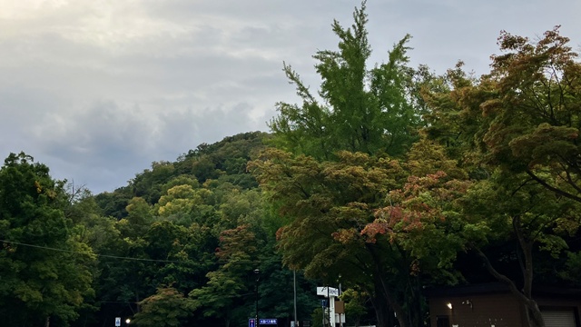 北海道神宮4