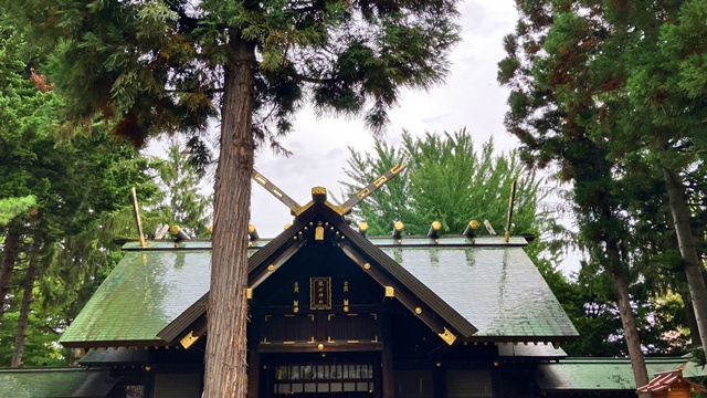 琴似神社4