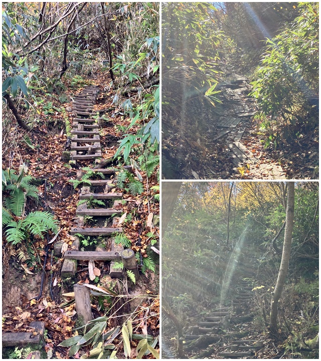 無意根山6