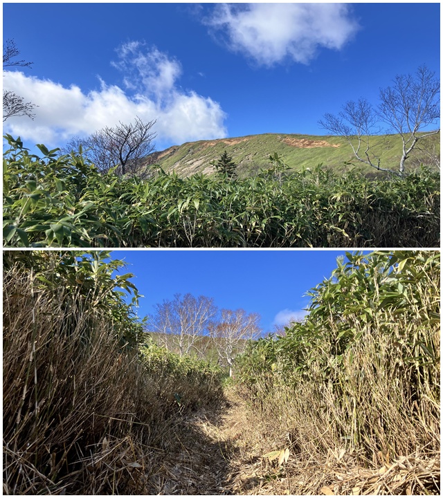 無意根山7