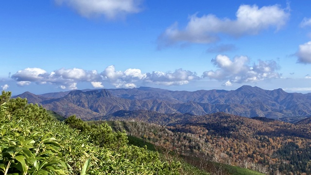 無意根山9