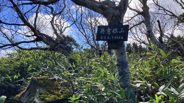 無意根山10