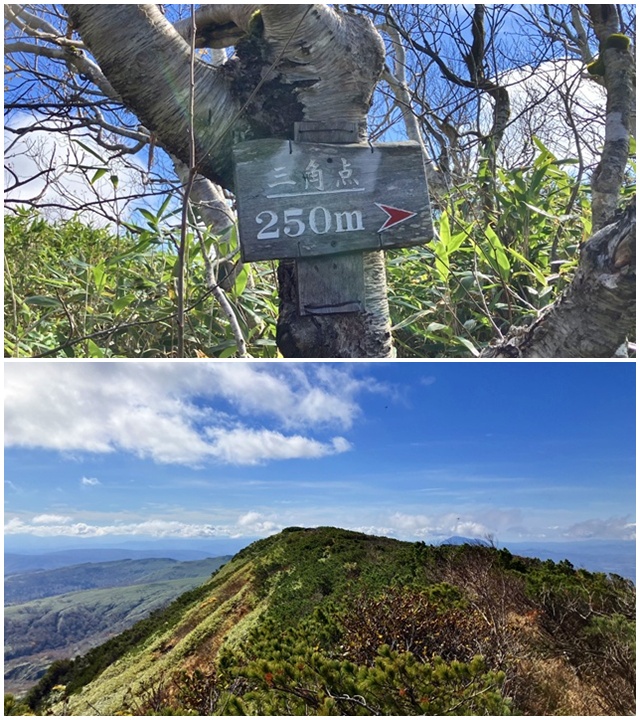 無意根山11