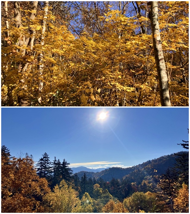 無意根山2