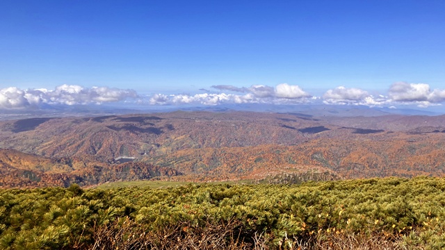 無意根山14